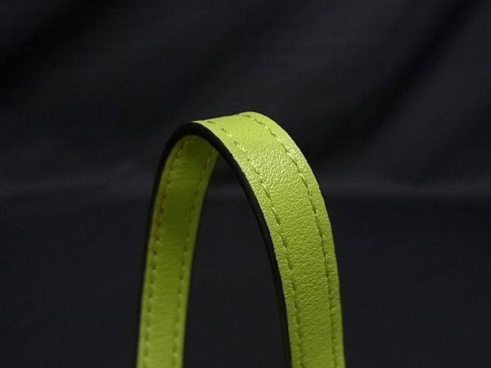 Loewe Clutch Elephant Green Bag Anagram Leather Shoulder Green